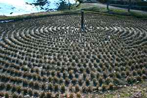 Field at Hida-no-sato, Hida Folk Village, Takayama, Japan