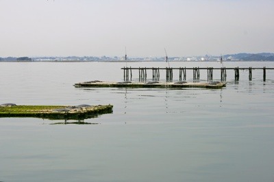 Floating devises in Matsushima Bay, Japan