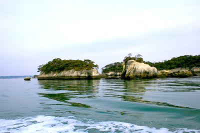 Island in Matsushima Bay, Japan