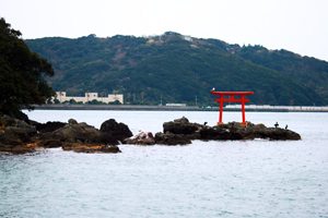 Shimoda harbor, photography