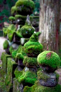 Graveyard, Koyasan, Japan