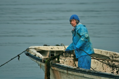 Fishing fishermen in Matsushima bay, Japan